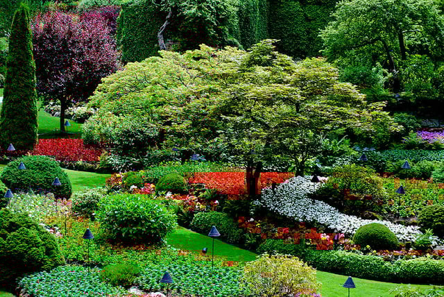 Gardening is like HR